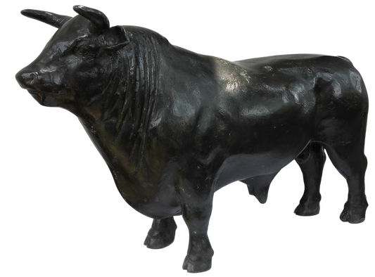 Bull - 1