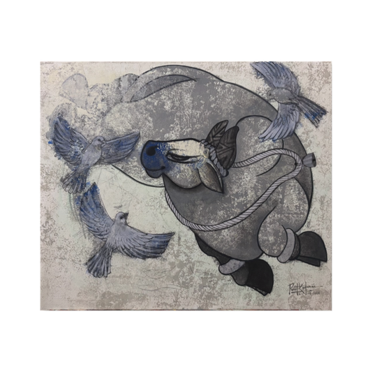 Grey Nandi
