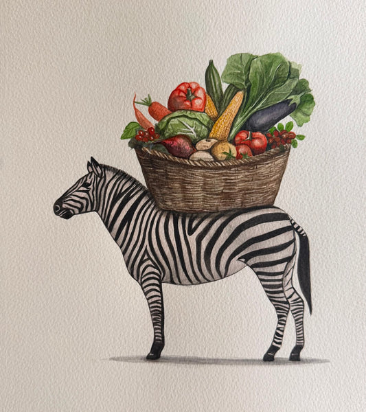 Zebra Series