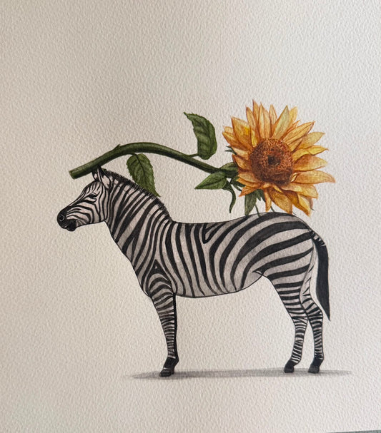 Zebra Series