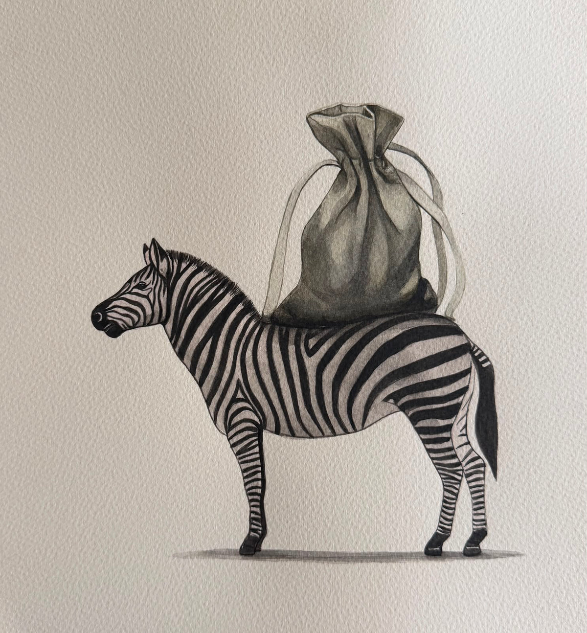 Zebra Series