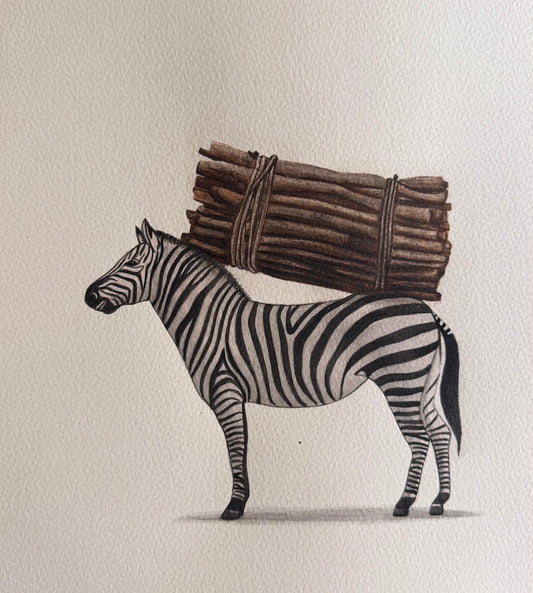 Zebra Series