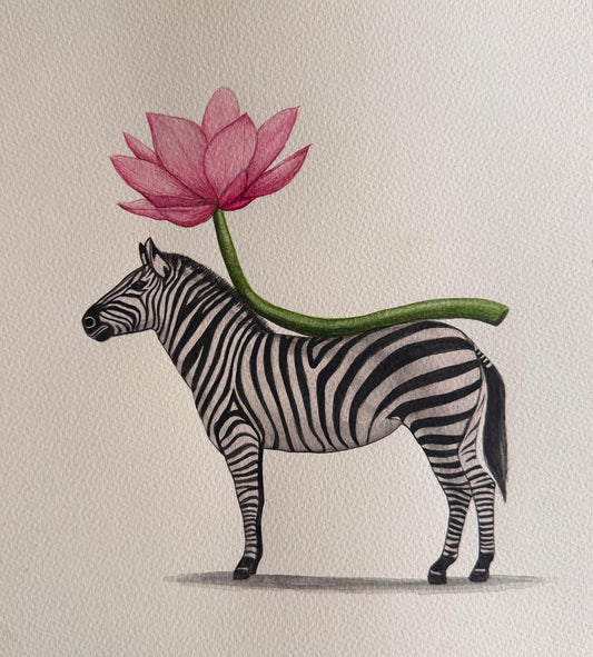 Zebra Series