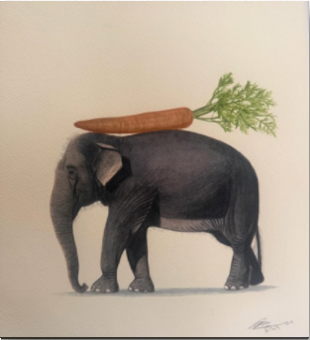 Elephant Series