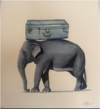 Elephant Series