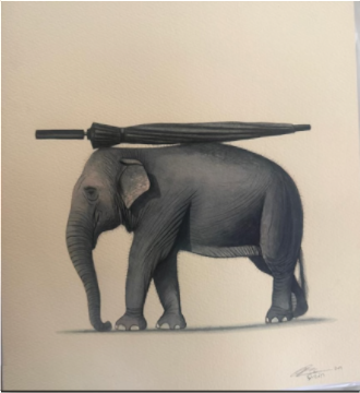 Elephant Series
