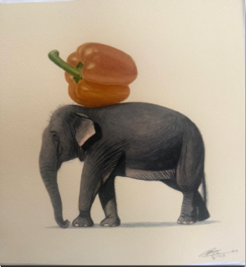 Elephant Series