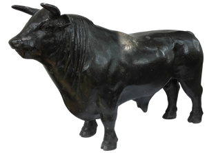 Bull - 1