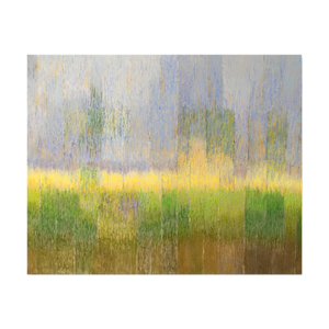 Woods - 1