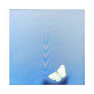 Happy Vibration - 52