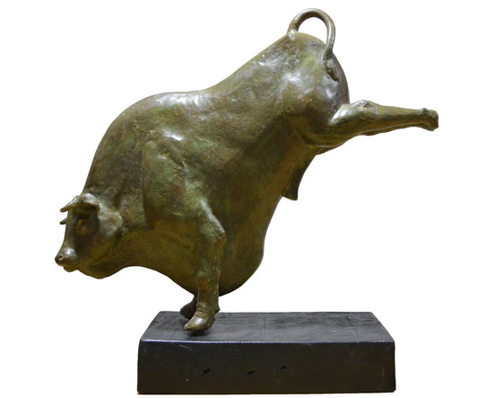 Bull Charging 1