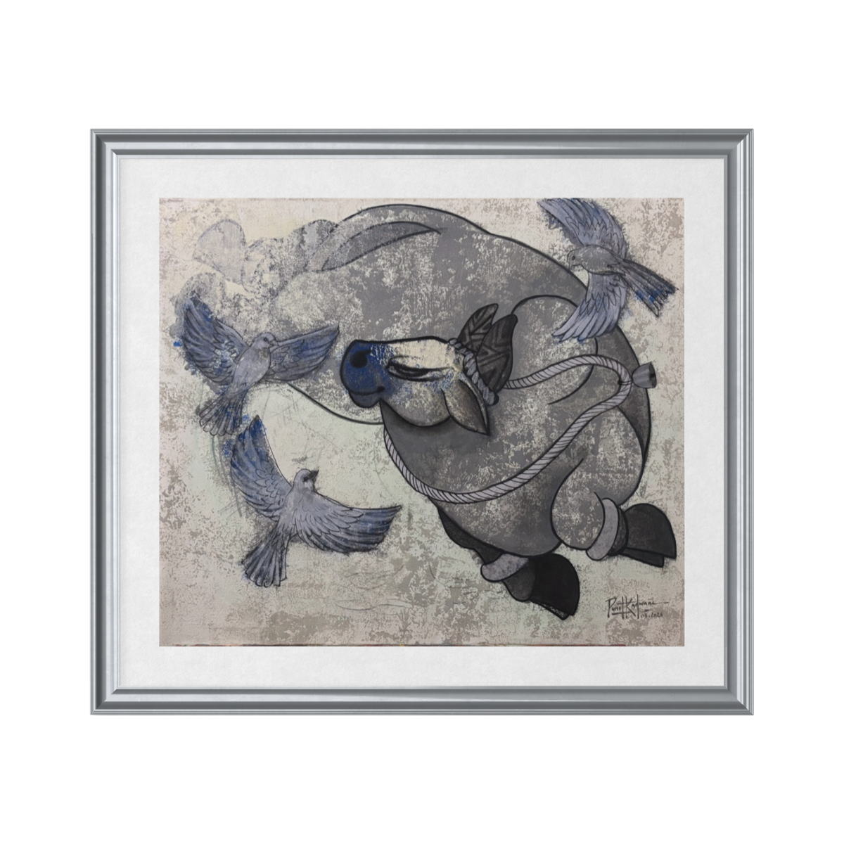 Grey Nandi
