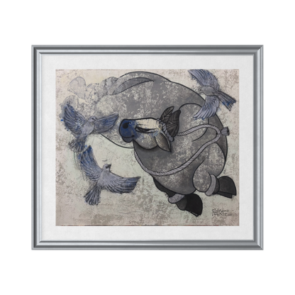 Grey Nandi