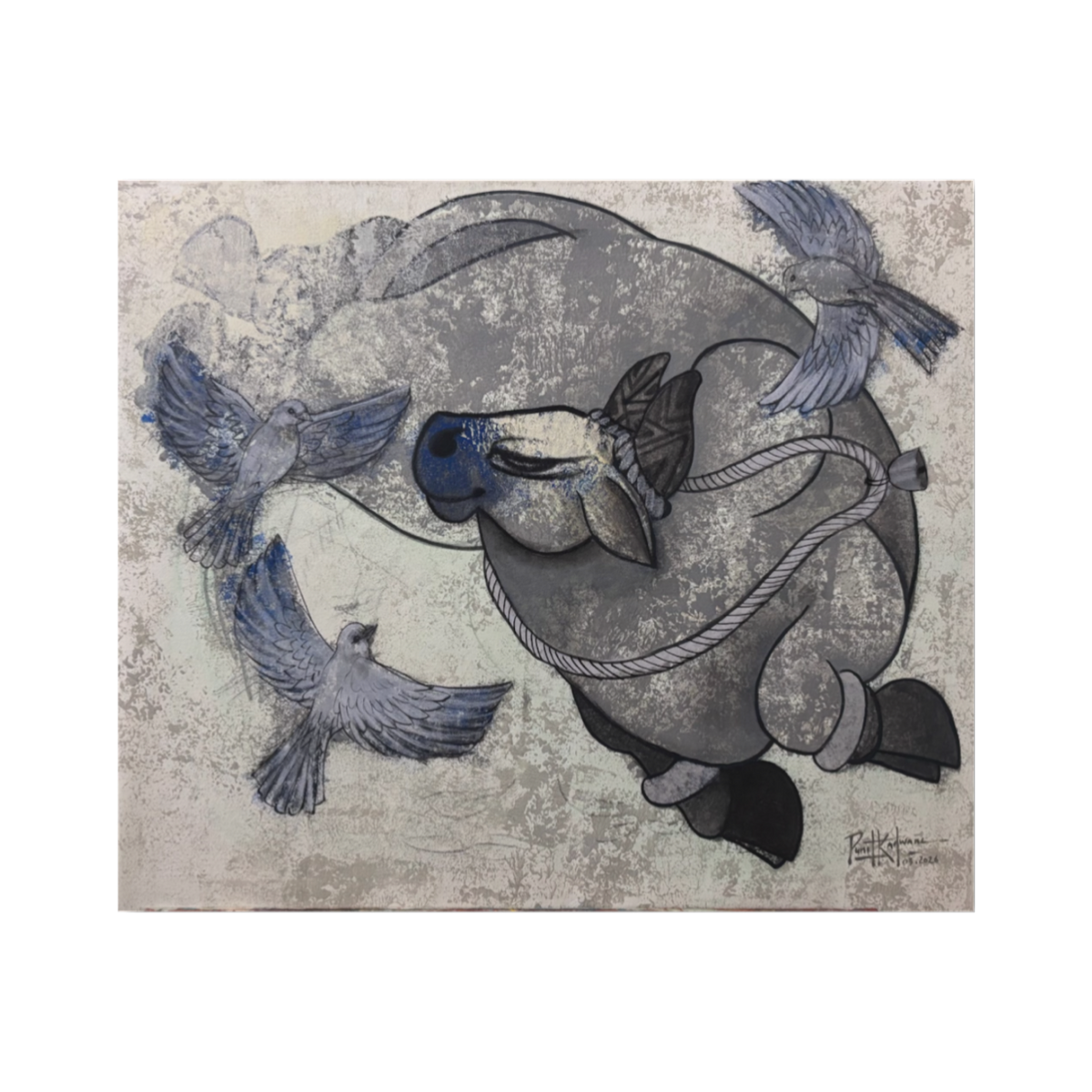 Grey Nandi