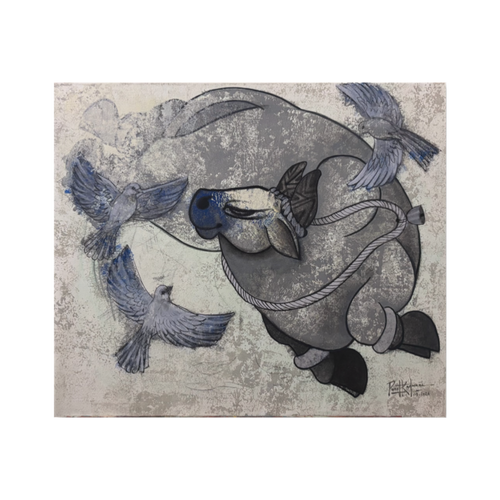 Grey Nandi