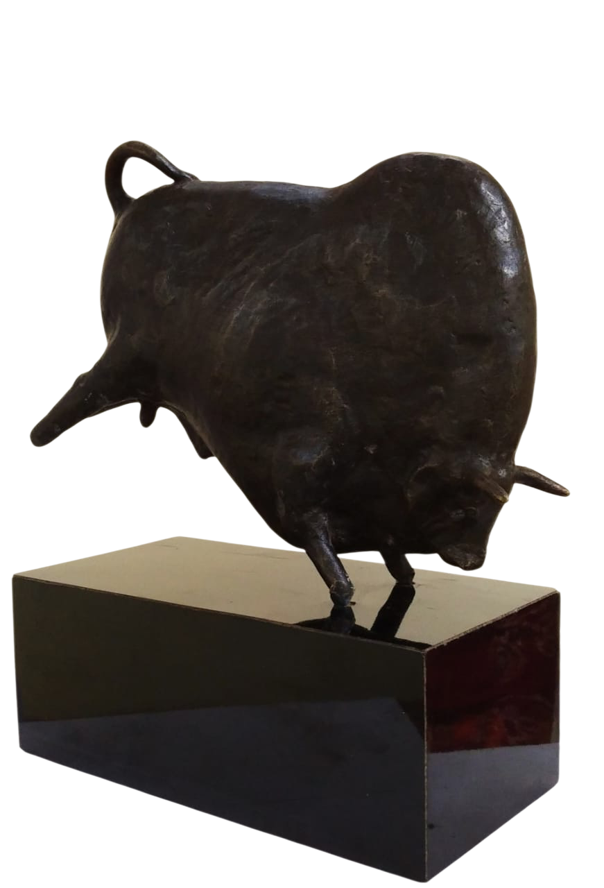 Bull Charging 2