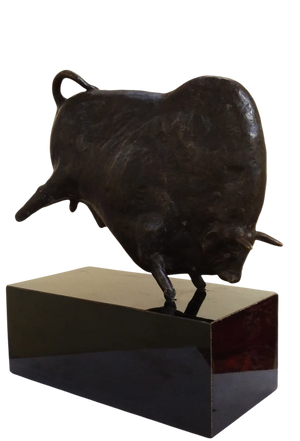 Bull Charging 2
