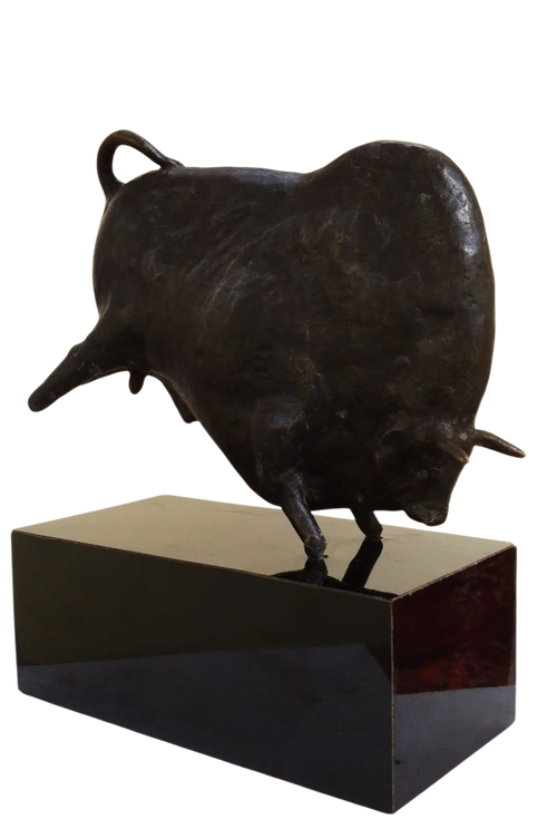 Bull Charging 2