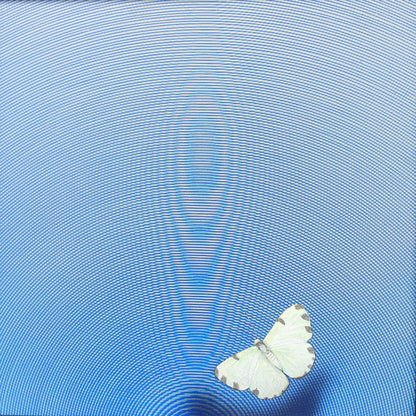 Happy Vibration - 52