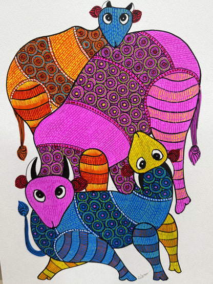 Gond Cows