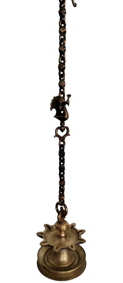 Peacock Chain Lamp