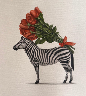 Zebra Series