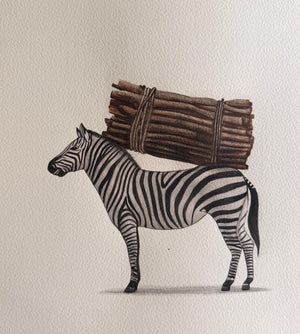 Zebra Series