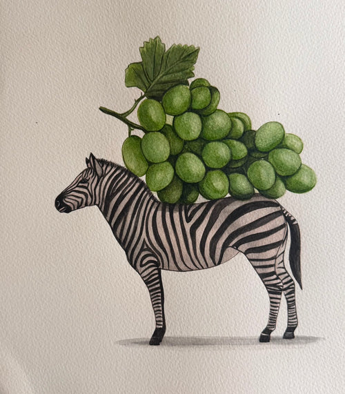 Zebra Series