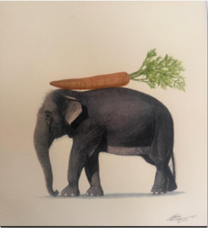 Elephant Series