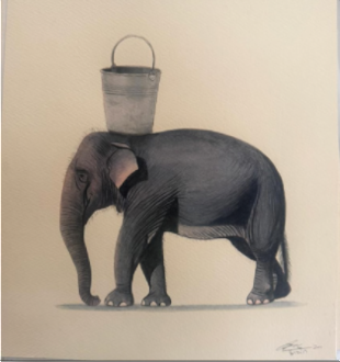 Elephant Series