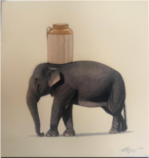 Elephant Series
