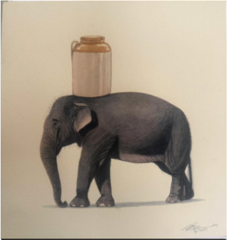 Elephant Series