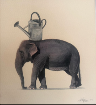 Elephant Series