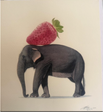 Elephant Series