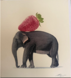 Elephant Series