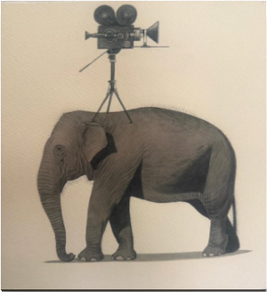 Elephant Series