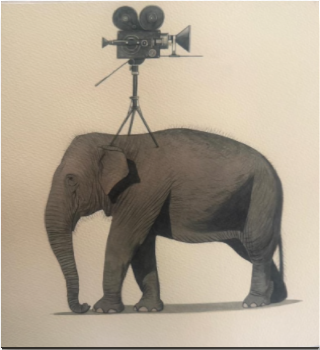 Elephant Series