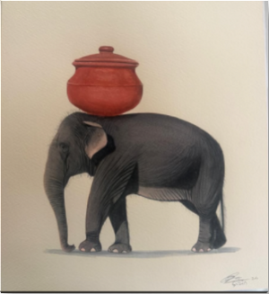 Elephant Series
