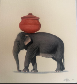 Elephant Series