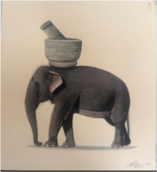 Elephant Series
