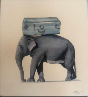 Elephant Series