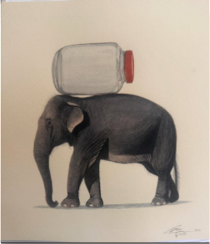 Elephant Series