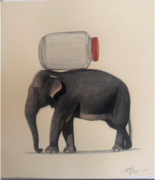 Elephant Series
