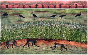 Inheritors Of the Earth